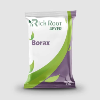 20250926155509-thumb-borax.webp